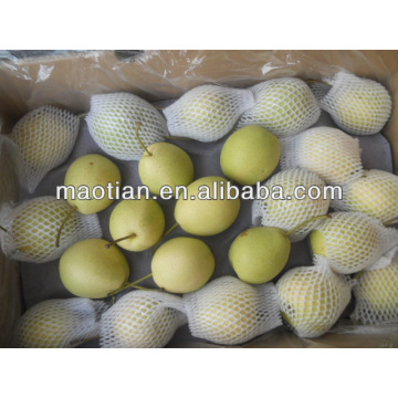 Récolte fraîche de poire de Shandong de nouvelle saison